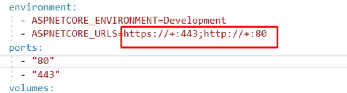 Docker'da Unable to Configure HTTPS Endpoint Hatası